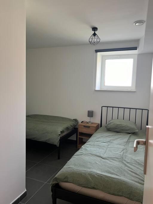 Charmant Logement Brugelette Proche De Pairi Daiza エクステリア 写真