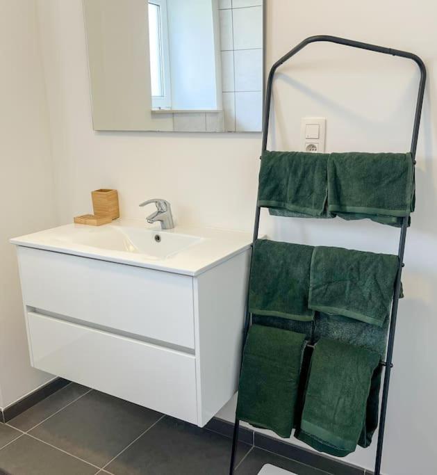 Charmant Logement Brugelette Proche De Pairi Daiza エクステリア 写真