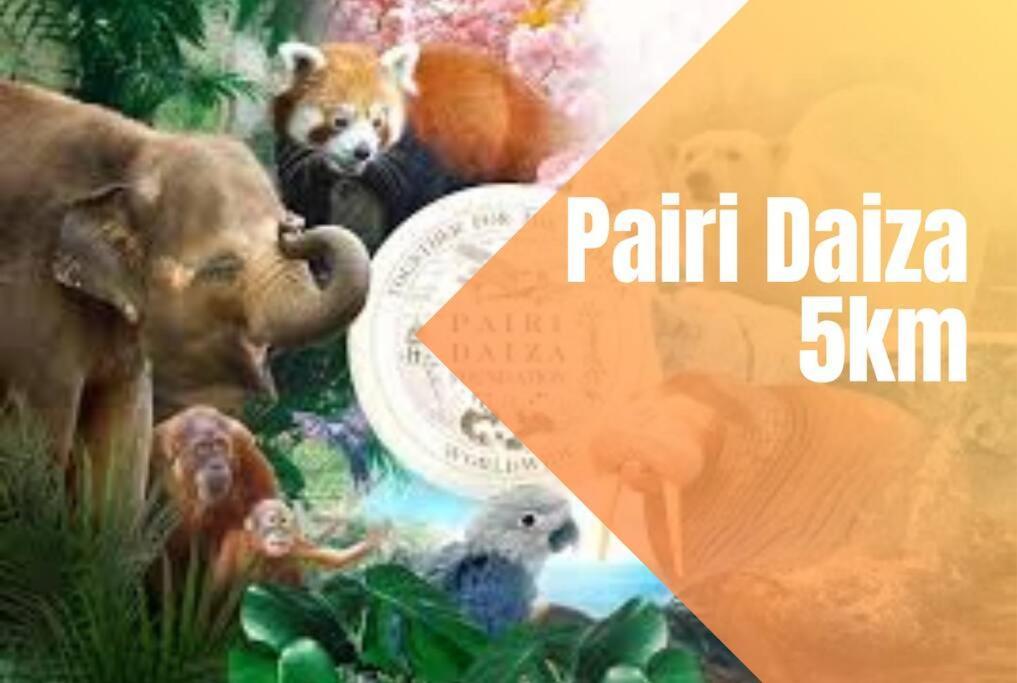 Charmant Logement Brugelette Proche De Pairi Daiza エクステリア 写真