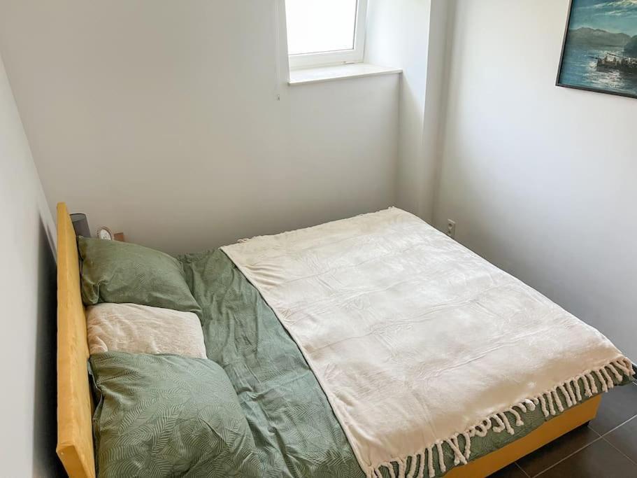 Charmant Logement Brugelette Proche De Pairi Daiza エクステリア 写真